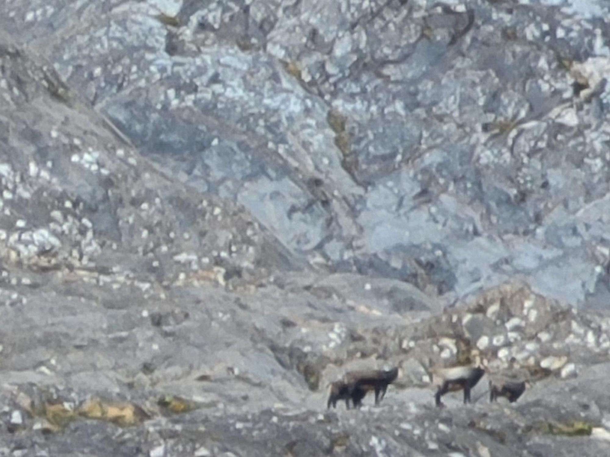 Bartlhof Refugium-Ritiro Villa Val di Vizze Eksteriør bilde
